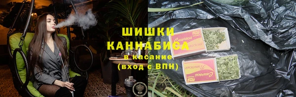 мдпв Богородицк