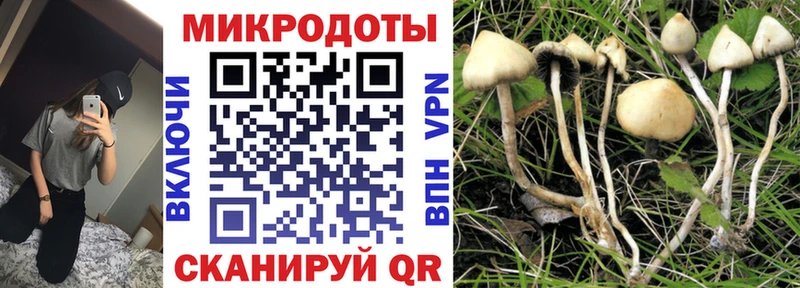 Псилоцибиновые грибы мицелий  кракен как зайти  Миньяр 